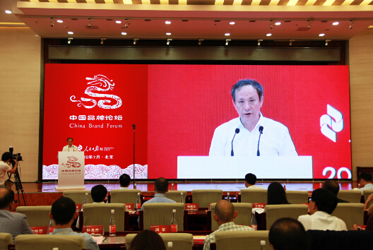 传播中国价值 彰显中国力量——中国品牌论坛在京举行　爱游戏王民董事长作精彩演讲